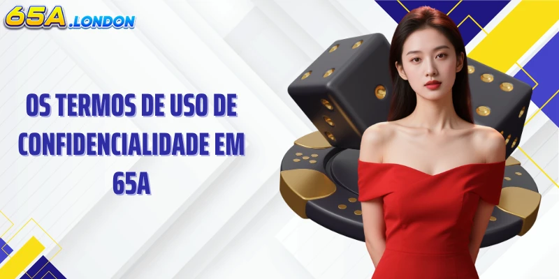 Os termos de uso de confidencialidade em 65A